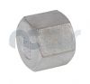 Hexagon Blanking Cap 1/8 - 4 BSPP 316 St/Steel 